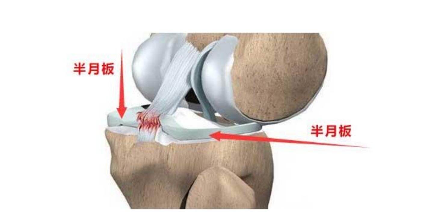 1654481461488009.jpg src=http___n4_hdfimg_com_g7_M05_92_C8_zYYBAGB0QUCAGZCfAADxNgJkpqI658_jpg__ms_=650f&refer=http___n4_hdfimg.jpg