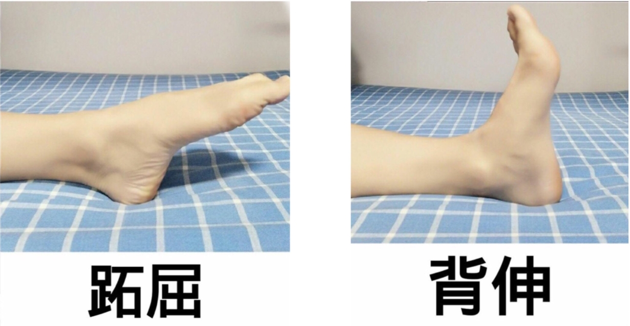 1655184316166007.jpg S1ML01NE_看图王.jpg