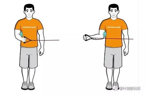 1668066643146667.bmp u=3988423736,2096963038&fm=253&fmt=auto&app=138&f=JPEG_看图王.bmp