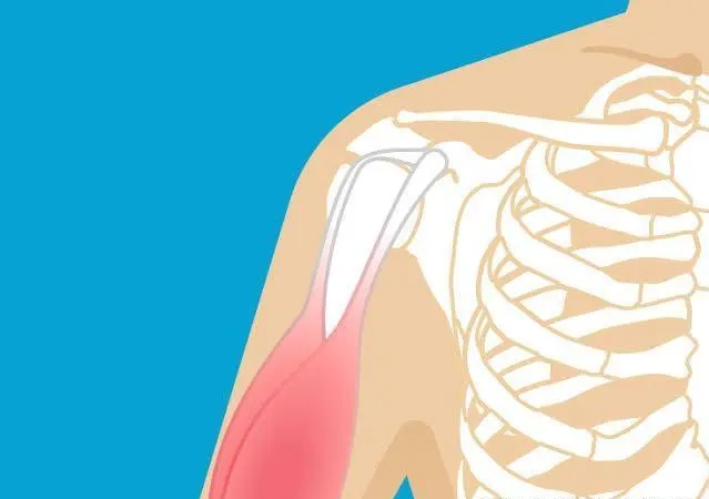 1669880700745776.bmp u=3273180445,527991145&fm=253&fmt=auto&app=138&f=JPEG_看图王(1).bmp